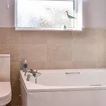 The Sandpiper